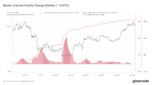 Wale tauchen tiefer in Bitcoin ein, da sich kleinere Inhaber aufgrund des ETF-Drucks zurückziehen