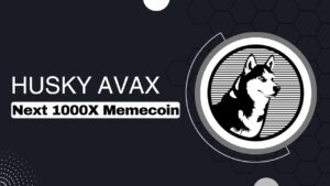 Vad är Husky Avax? Top Dog of Avalanche - Asia Crypto Today