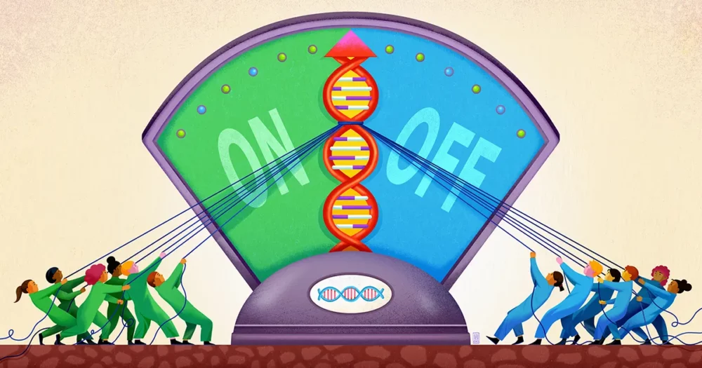„Lobby”, w którym molekularny tłum mówi genom, co mają robić | Magazyn Quanta