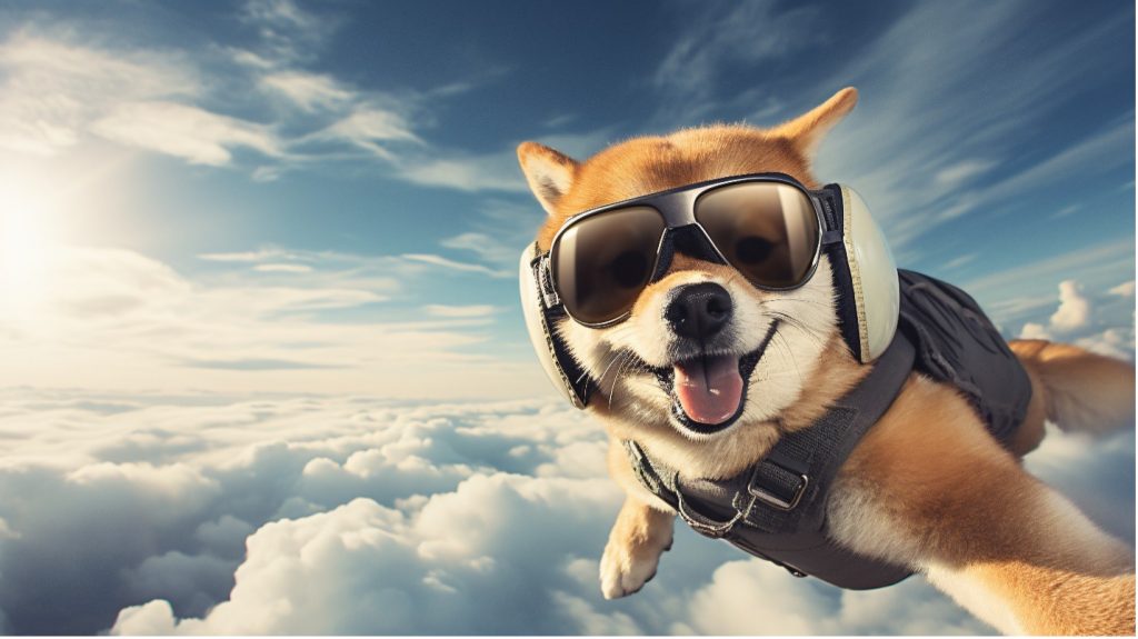 fallskjermhopping med hund