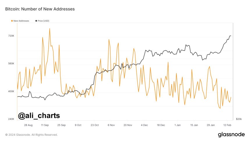 Bitcoin Bull Run: Poin Data On-Chain Menuju Penurunan Partisipasi Ritel