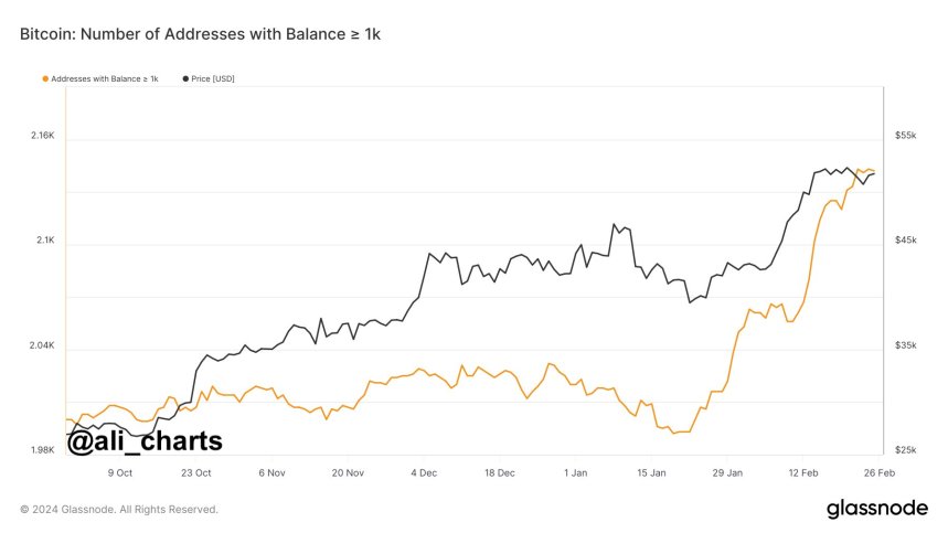 Bitcoin ajunge la un nou maxim pe 26 de luni, „Balenele devin parabolice”, în timp ce prognozele analiştilor se ridică la 60,500 USD