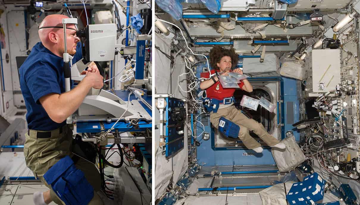 अंतर्राष्ट्रीय अंतरिक्ष स्टेशन पर अंतरिक्ष यात्रियों की दो तस्वीरें: एक नेत्र परीक्षण कैमरा देख रहा है, दूसरा शून्य-गुरुत्वाकर्षण उपकरण में तैर रहा है, उसके शरीर पर सामान बंधा हुआ है