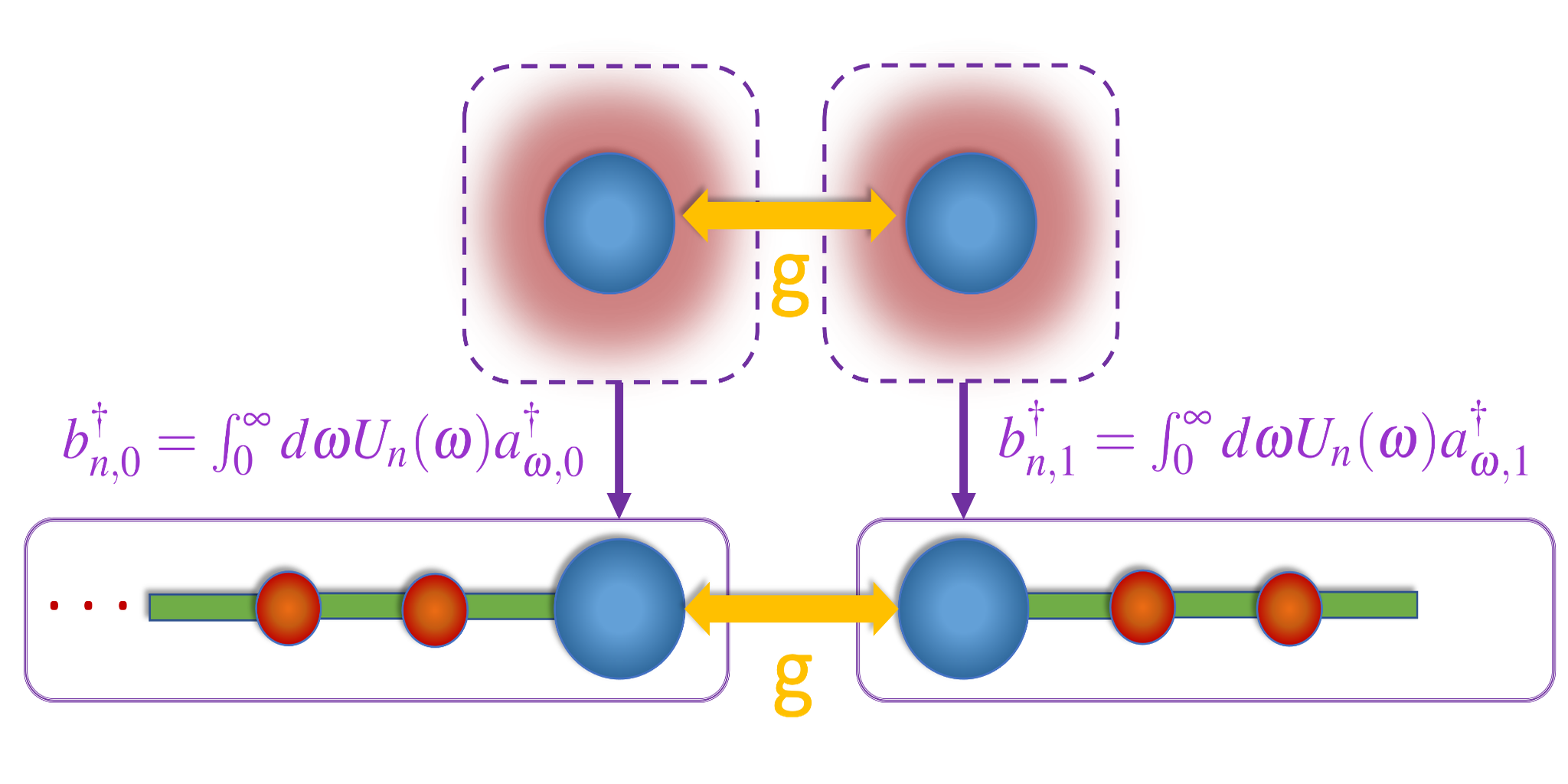 Simularea cuantică digitală a dinamicii neperturbative a sistemelor deschise cu polinoame ortogonale