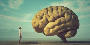Dymension Gains 58% in First Day, But Questions Loom About Big Brain Staking - Decrypt