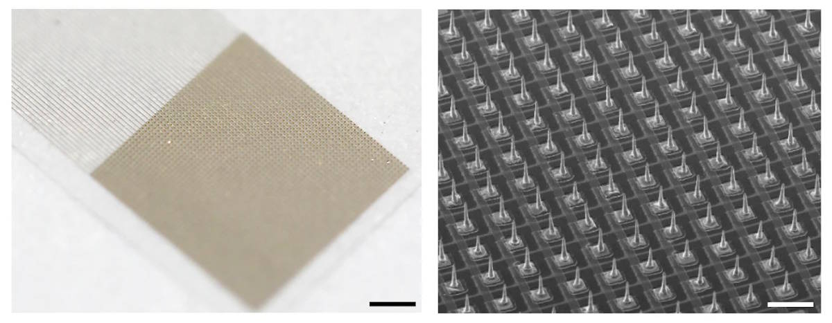 Susunan transistor terintegrasi dengan mikroelektroda logam cair