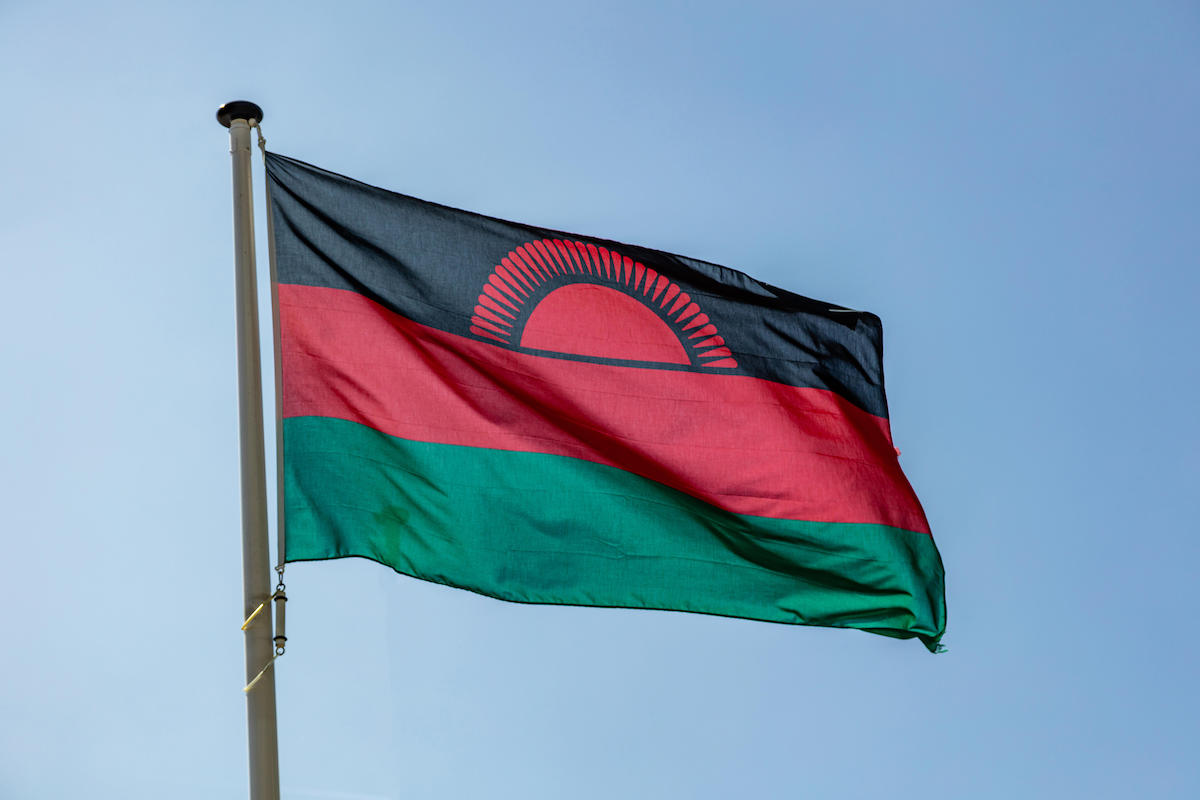 Malawi Immigration Dept. Halts Services Amid Cyberattack immigration PlatoBlockchain Data Intelligence. Vertical Search. Ai.