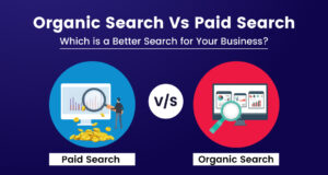 Органический поиск против. Платный поиск: какой поиск лучше для вашего бизнеса? (2024)