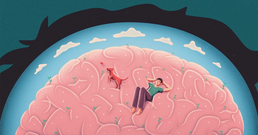 Wat je hersenen doen als je niets doet | Quanta-tijdschrift