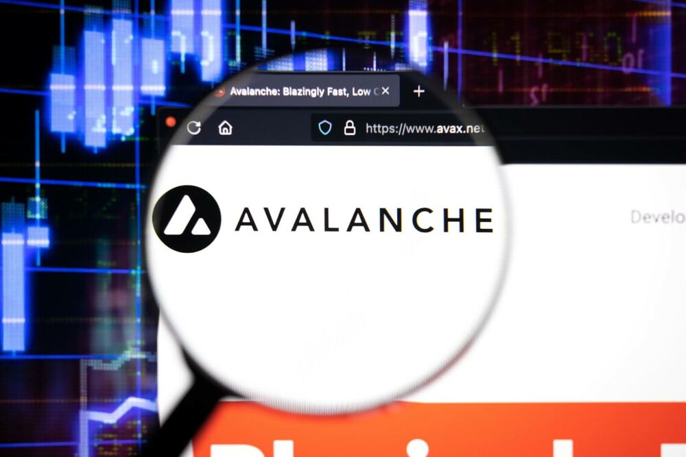 Avalanche 和 Toncoin 在市场动荡中表现出不错的实力，而专家在 NuggetRush 上发现了类似的实力模式
