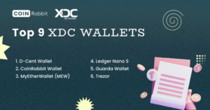 Bästa XDC-plånbok: Hur man väljer och vilken som är bäst –