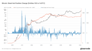 L’accumulation de Bitcoin atteint un sommet en dix ans parmi la cohorte « Shark »