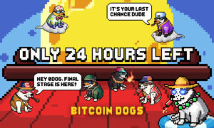 Bitcoin Dogs entra nas últimas 24 horas de pré-venda após arrecadar mais de US$ 11.5 milhões