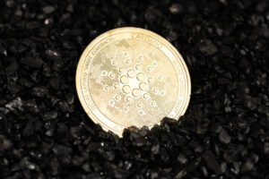 Cardano USDM stabiilne münt on seatud aprillis jaemüügiks