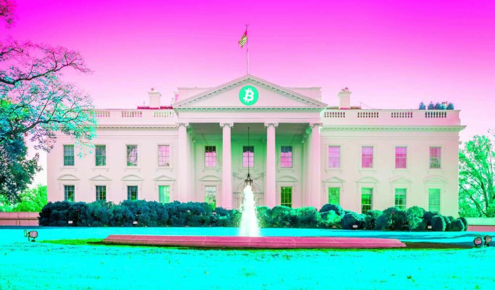 Donald Trump adresserer Bitcoin og NFT'er, antyder ikke at forbyde dem, hvis han bliver valgt til præsident - CryptoInfoNet