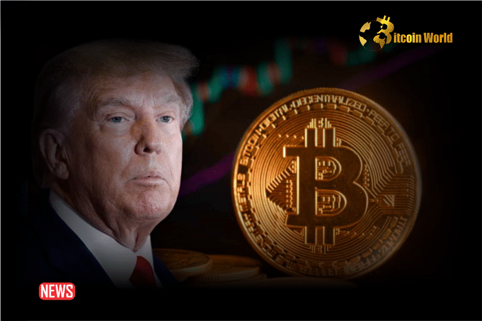 Donald Trump pravi, da bo "včasih dovolil ljudem plačevati z bitcoini"
