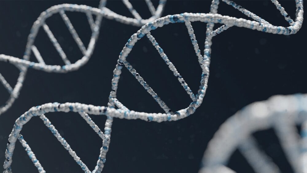Ludzkie sztuczne chromosomy mogą przewozić tony większej ilości ładunku DNA do komórek