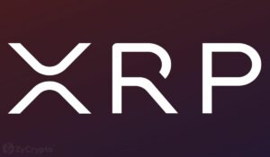 کارشناس برجسته ادعا می کند که XRP در 0.59 دلار راکد خواهد ماند حتی زمانی که بیت کوین به 250,000 دلار برسد.