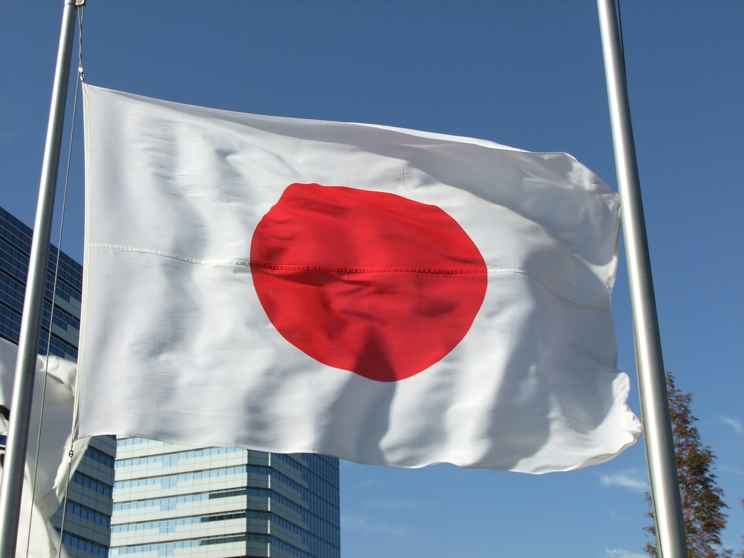 فائل: جاپان کا جھنڈا .jpg - Wikimedia Commons