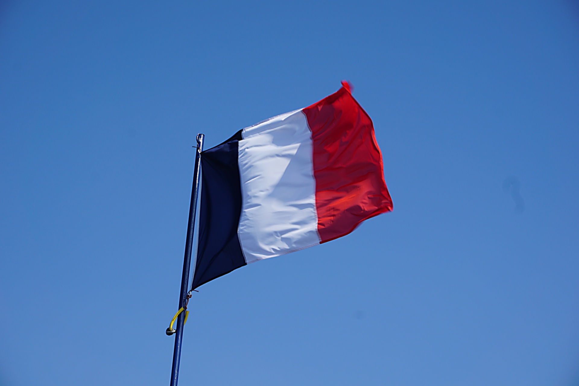 Fransk flag Gratis Stockfoto - Public Domain Pictures