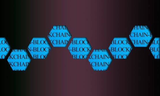 Solana het 'meest populaire Blockchain-ecosysteem' in 2024 tot nu toe