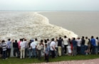 A crowd on the bank of a wide river look at a tidal bore passing