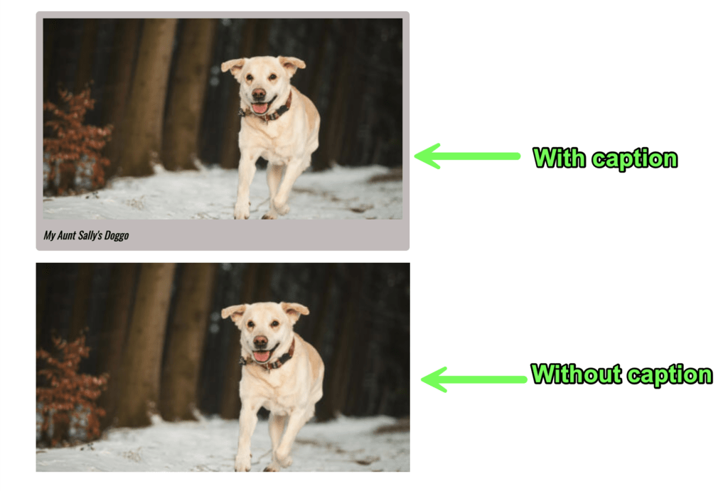 مثال على: يحتوي على محدد يبرز الخلفية صورة مع تسمية توضيحية مقابل صورة لا تفعل ذلك.