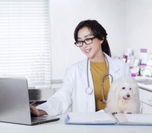 Veterinary Practice Management Software Leader Turns to Comodo to Protect and Manage Endpoints