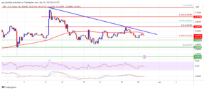 XRP Price Holds Support - Indicators Show Risk of Downside Break