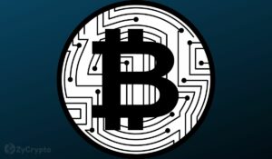 Analis Mengatasi Kekhawatiran atas Pemegang Jangka Panjang yang Membuang Bitcoin ke Bursa
