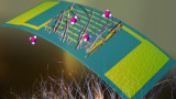 Senzor microbian cu nanofir