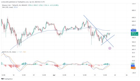 BNB Resilience: Holding Firm At $560 - What's Next?