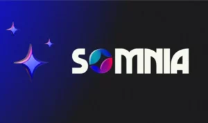 Building the United Metaverse and Web3: Somnia's Vision for Collaboration and Equity