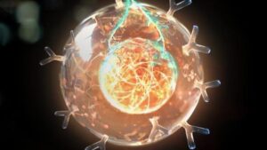 细胞疗法现在可以击退曾经无法治愈的血癌。科学家正在让它们变得更加致命。