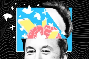 Elon Musk offre agli utenti funzionalità premium gratuite su X, inclusi i truffatori di criptovalute