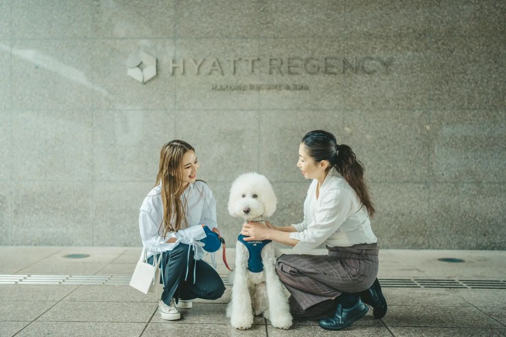 Embrace Wellness with Your Cherished Canine at Hyatt Regency Hakone Resort & Spa perspectives PlatoBlockchain Data Intelligence. Vertical Search. Ai.