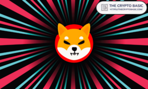 Just In: Bybit Now Allows 25M Users to Buy Shiba Inu with Google Pay