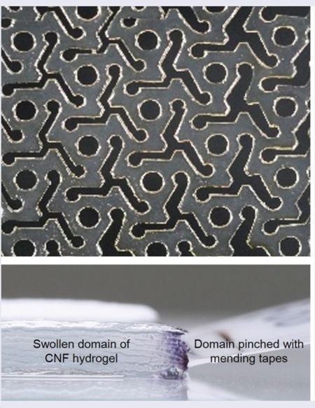 Kirigami hydrogeler stiger från cellulosafilm