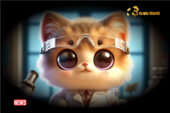 Meow Scientist (MEOWSC) to Rally 6,500%, Looks to Challenge Shiba Inu and Dogecoin Amid PlatoBlockchain Data Intelligence. Vertical Search. Ai.