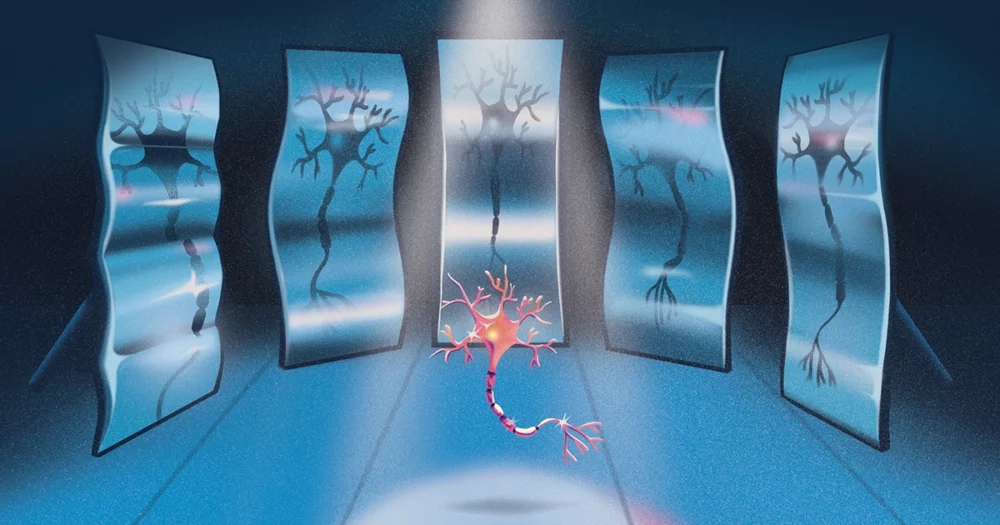 Superexposição distorceu a ciência dos neurônios-espelho | Revista Quanta