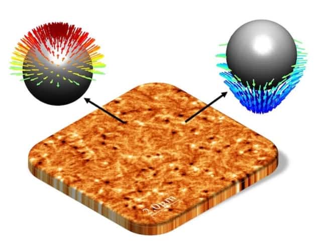 קוואזי-חלקיקים הנקראים מירונים מופיעים באנטי-פרומגנט סינתטי בפעם הראשונה - עולם הפיזיקה