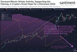 Waiting For The Bitcoin Bull Run To Resume? Here’s The Indicator To Watch For