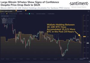 Les baleines Bitcoin et Ethereum achètent à chaque baisse de prix, bientôt un soulagement ?