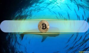 Cá voi Bitcoin đã kiếm được số BTC trị giá 2.8 tỷ USD trong một ngày: CryptoQuant