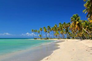 多米尼加共和国金融科技外包：Cynergy BPO - 先进技术、增强的客户体验和严格的合规性