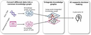 A Fujitsu bemutatja a "magyarázható mesterséges intelligenciát" a genomikai gyógyászatban és a rákkezelés tervezésében