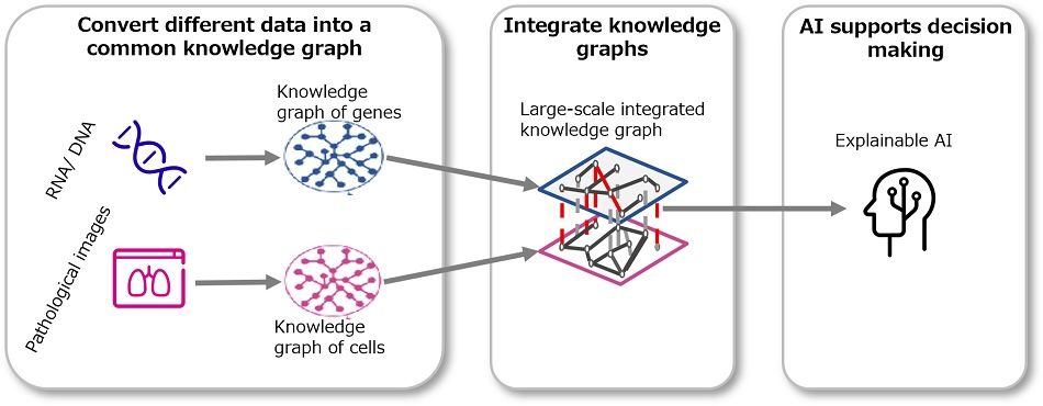 Fujitsu introduces "explainable AI" for use in genomic medicine and cancer treatment planning Knowledge Graph PlatoBlockchain Data Intelligence. Vertical Search. Ai.