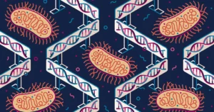 Az eltűnt többsejtű prokarióták rejtélye | Quanta Magazin