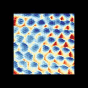 Kristal Wigner muncul dalam graphene bilayer – Dunia Fisika