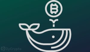 $1 Billion in Bitcoin Just Moved from Coinbase — Are Whales Massively Buying the Dip?